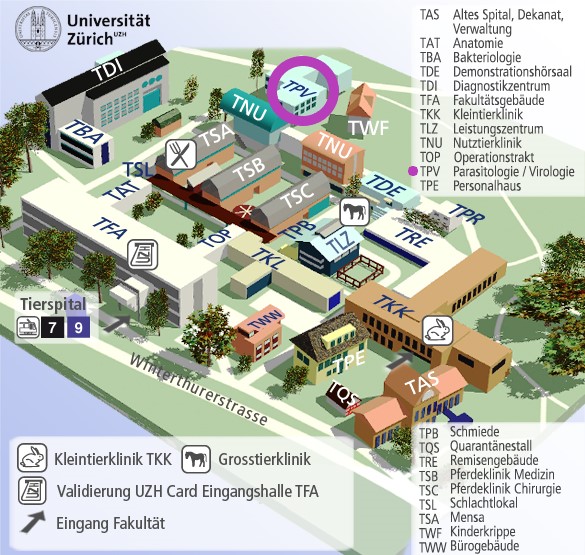 Lageplan Parasitologie